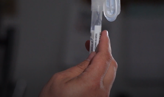 At-Home COVID Tests: KSL Investigators Test How Long It Takes To Get Results