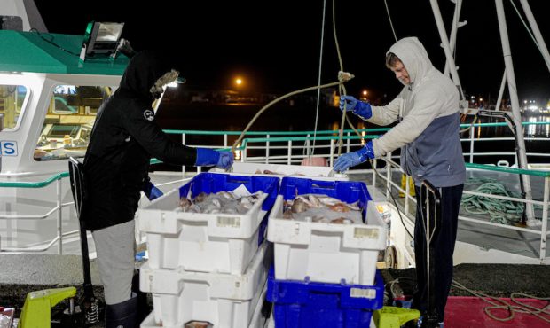 NEWLYN, ENGLAND - DECEMBER 22: Crew members of a trawler load fish bait on December 22, 2020 in New...