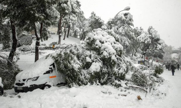 MADRID, SPAIN - JANUARY 09: A tree has fallen on top of a car during heavy snowfall on January 09, ...