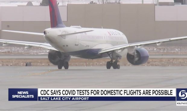 CDC Senior Official: COVID Tests For Domestic Flights A Possibility