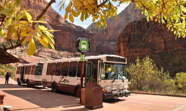 FILE: Yellow leaves frame white shuttle buses in front of red sandstone cliffs at Zion National Par...