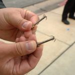 Small hooks latch onto clothing. (Mike Anderson/KSL-TV)