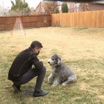 On the day of the Utah earthquake last year, Greg Boss' wife decided their family would get a dog. Wally is a Sheepadoodle who has brought the family a lot of joy and company this year and has also helped Greg Boss recover from his surgery in 2019.