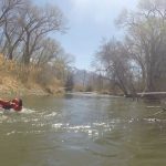 A fire fighter is in the river waiting for a rescue during training. (Mike Anderson, KSL TV)