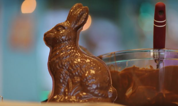 A chocolate Easter bunny is displayed at Amazing Chocolates on March 28, 2013 in Hollywood, Florida...