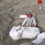 BLM paleontologist Dr. Alan Titus discovered the Rainbows and Unicorns Quarry site in 2014. (Bureau of Land Management.)