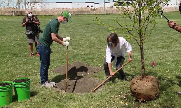Arbor Day Helps SLC Parks Recover From September Windstorm
