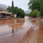 Major flooding in Springdale forced the closure of state Route 9. (UDOT Region Four/Twitter)