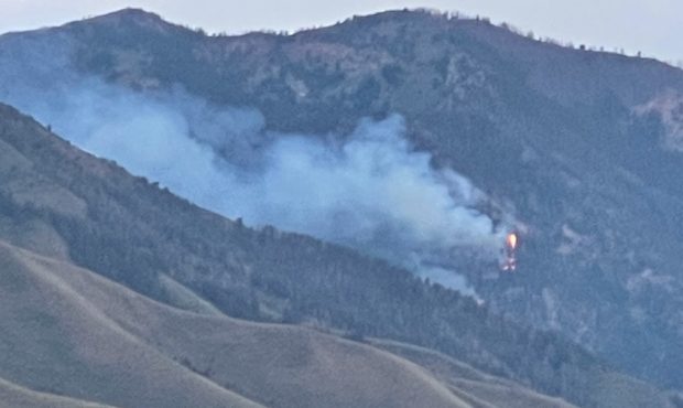 The Morgan Canyon Fire. (Dave Vickers, Wasatch Front area fire management officer for Utah Fire and...