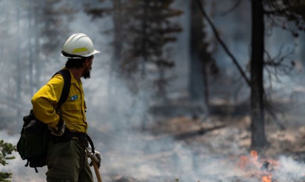 SILVER CREEK, OR - JULY, 23 : Fire Information Officer Jacob Welsh observes smoldering trees on the...