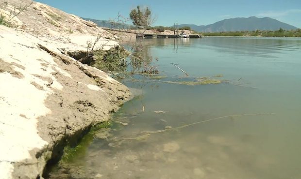 Algal blooms have slimed Utah Lake and dozens of other bodies of water in our state each of the las...