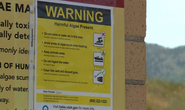 Algae warning signs are posted at Mantua Reservoir. (KSL TBV)...