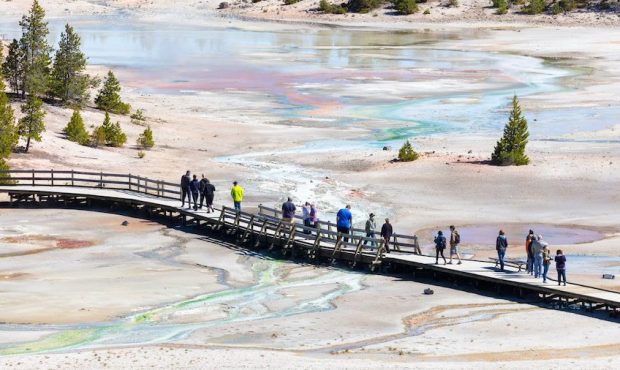 Woman banned from Yellowstone after walking on thermal areas