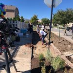 Local landscapers pitch in to help the Utah Division of Water Resources flip the strips at four different homes in Salt Lake County, including the “Up” home in Herriman. (KSL-TV) 
