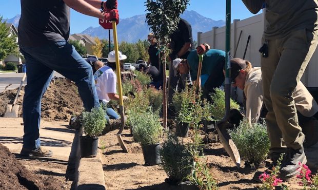 Local landscapers pitch in to help the Utah Division of Water Resources flip the strips at four dif...