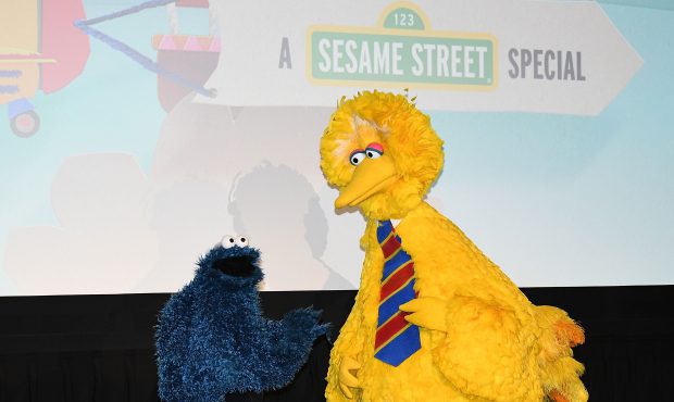 NEW YORK, NY - NOVEMBER 09: Sesame Street characters Cookie Monster (L) and Big Bird attend HBO Pre...