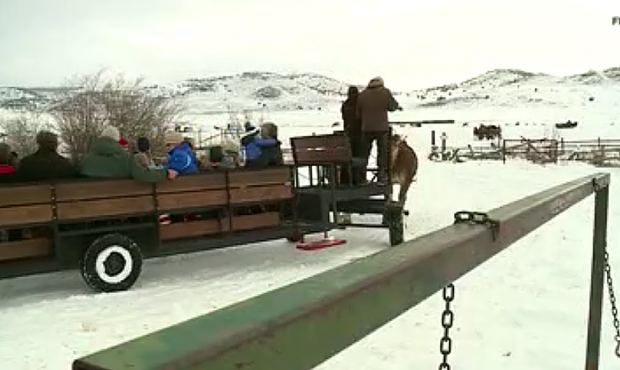 Hardware Ranch canceled the annual sleigh rides because the drought led to a hay shortage. (KSL TV ...