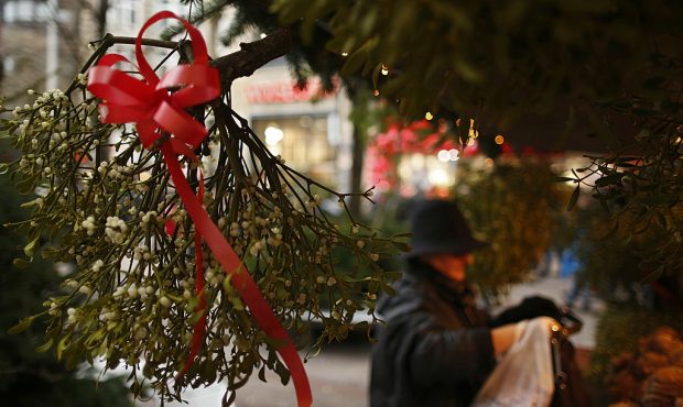 HAMBURG, GERMANY - DECEMBER 07: A woman buys mistletoes at a stall on the christmas market in the m...