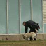 FILE: Box Elder Schools searched with police dog. (Mike Anderson/KSL TV)