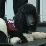 One of the trainer's dogs was at the event in Salt Lake City. (KSL TV)