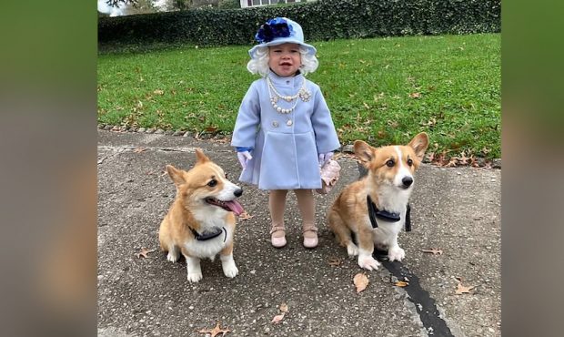 Jalayne Sutherland, accompanied by corgis Rascal and Jack, donned a royal outfit for Halloween. (Co...