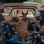 Actor/director Channing Tatum and Lulu the Belgian Malinois on the set of their film, DOG 
Photo credit: Hilary Bronwyn Gayle/SMPSP

© 2022 Metro-Goldwyn-Mayer Pictures Inc. All Rights Reserved