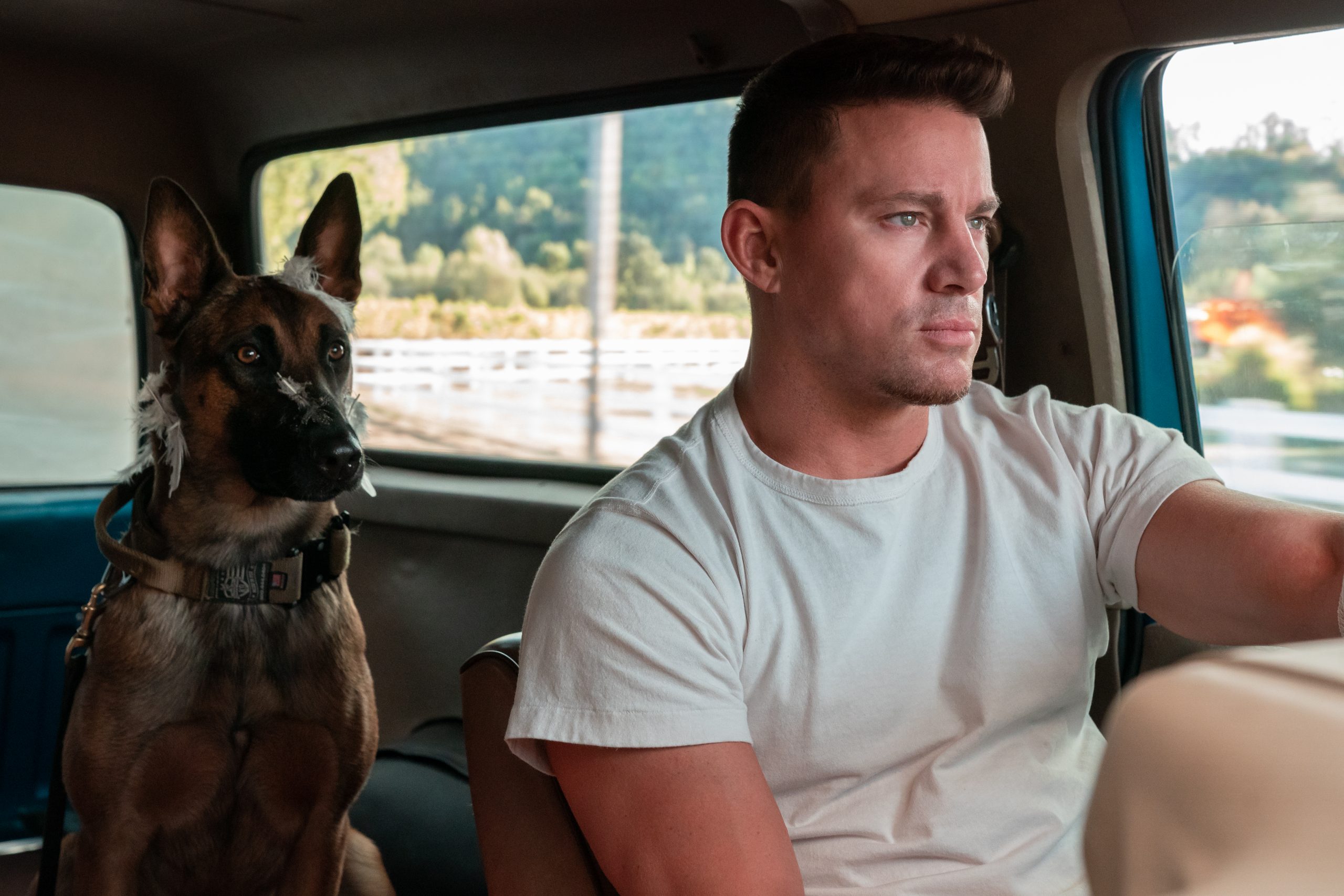 REVIEW: Channing Tatum makes his directorial debut in emotionally engaging  movie 'Dog'