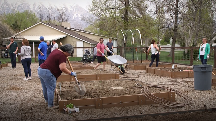 Gardeners at the Intermountain Healthcare LiVe Well garden at the Orem Community Hospital....