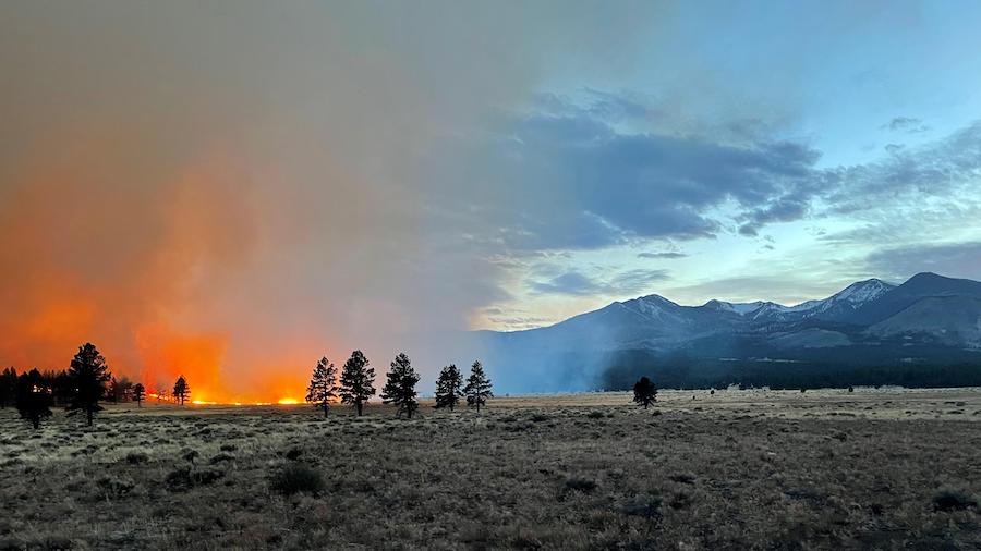 Tunnel Fire as seen from Bonito Park in Arizona. (USFS)...
