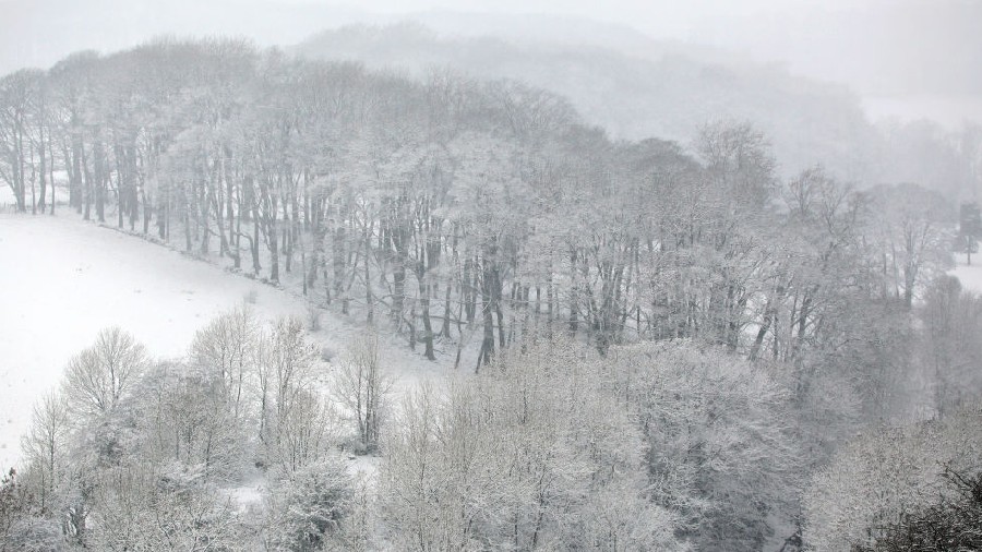 BUXTON, UNITED KINGDOM - DECEMBER 16:  A general view of snow-covered trees on December 16, 2011 in...