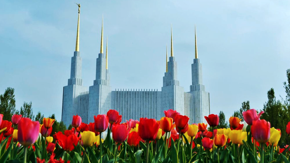 The Washington D.C. temple of The Church of Jesus Christ of Latter-day Saints. (DCTemple.org)...
