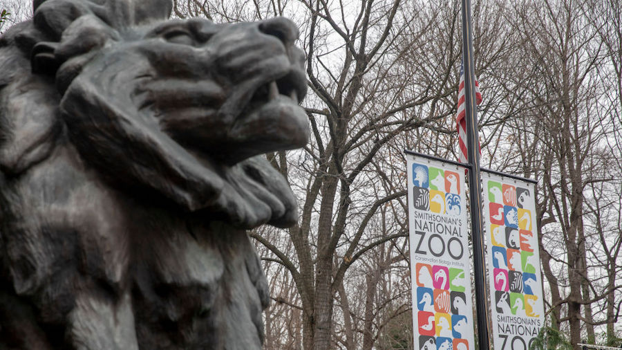 The Smithsonian National Zoo Main gate is closed to the public on January 02, 2019 in Washington, D...