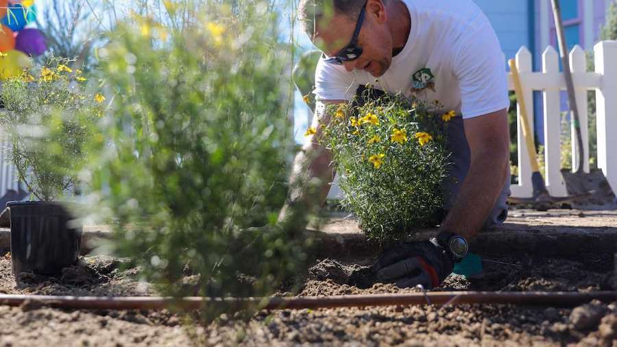 FILE: Brandon Miller, with Icon Landscaping, plants water-wise plants in a park strip in Herriman o...
