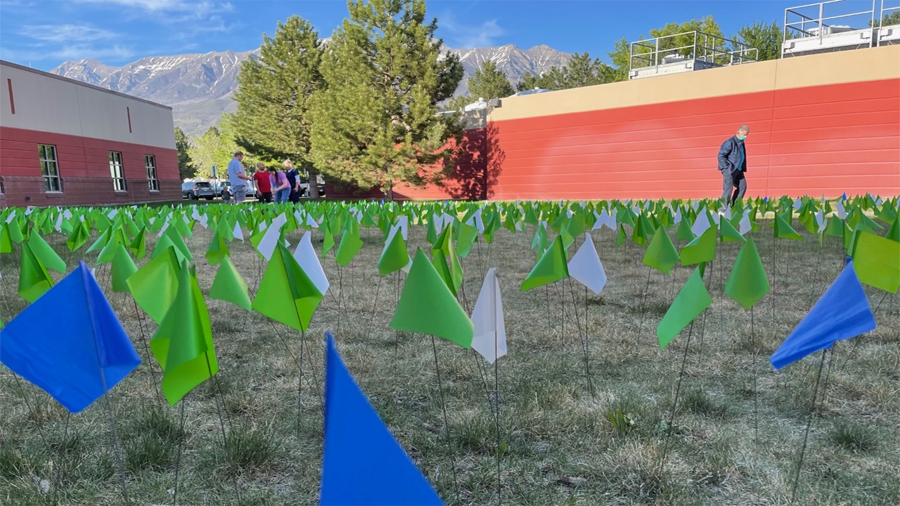 The lawn of Timpanogos Regional Hospital was adorned with flags to honor the lives lost to COVID-19...