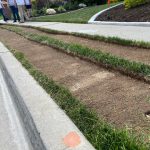 Volunteers replaced sod with waterwise plants as part of a one day Flip Blitz effort. (KSL TV)
