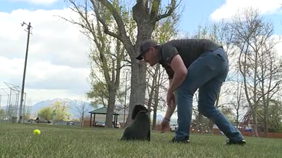 Vet Jarvie Curtis plays with his new service puppy Lima. (KSL TV)...