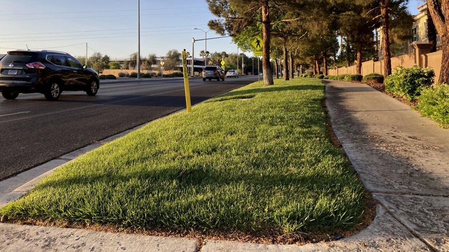 Traffic passes a grassy landscape on Green Valley Parkway in suburban Henderson, Nev., on April 9, ...
