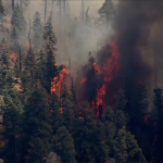 The Left Fork fire on 06.20.22 as it's 2608 acres and 5% contained. (Credit: KSL-TV)