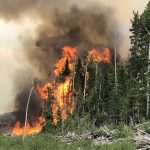 The Left Fork Fire flares up again. (Utah DWR)