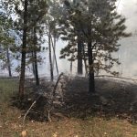 The Left Fork Fire flares up again. (Utah DWR)
