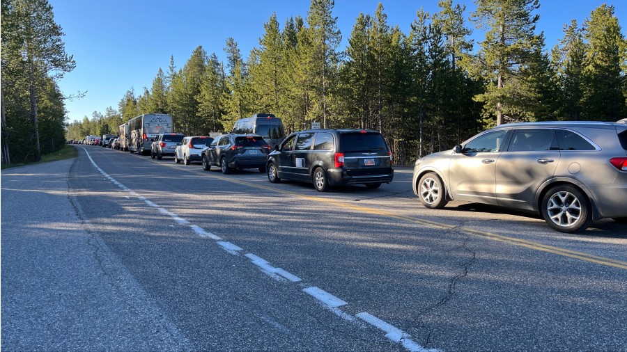 Visitors line up to visit Yellowstone hours before park re-opens