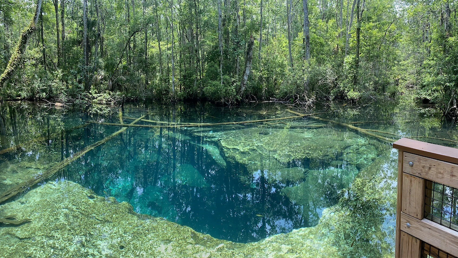 Authorities in Florida are investigating the deaths of two cave divers at a wildlife park. The Hern...