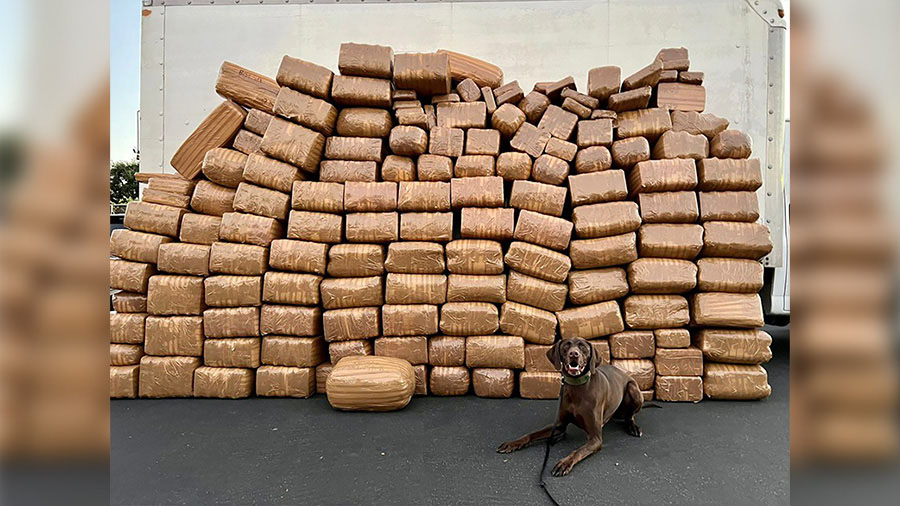 More than 5,000 pounds of methamphetamine were seized in National City, California. (Credit: DEA)...