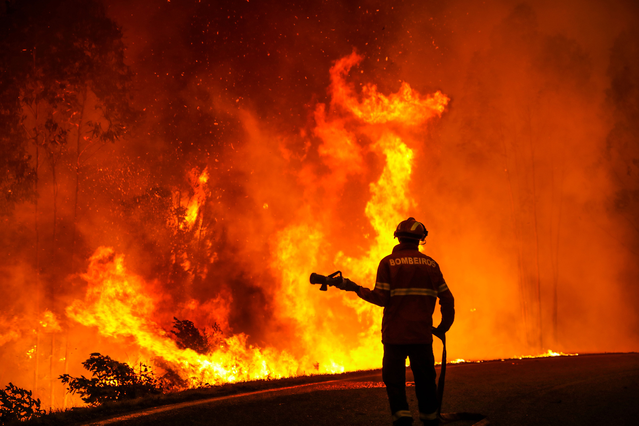 Mandatory Credit: Photo by PAULO CUNHA/EPA-EFE/Shutterstock (13027640ab)
A wildfire burns forest in...