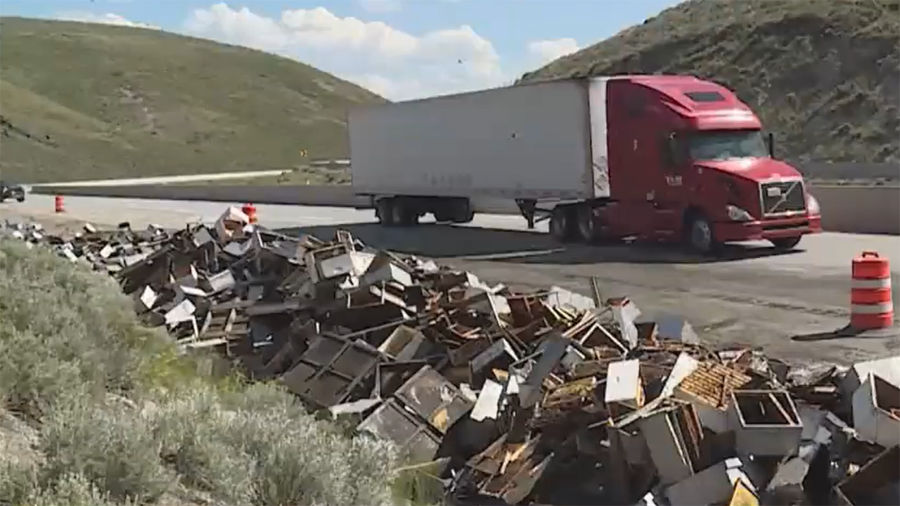 A semi-truck hauling over 200 beehives tipped on Interstate 80 on Monday. (KSL TV)...
