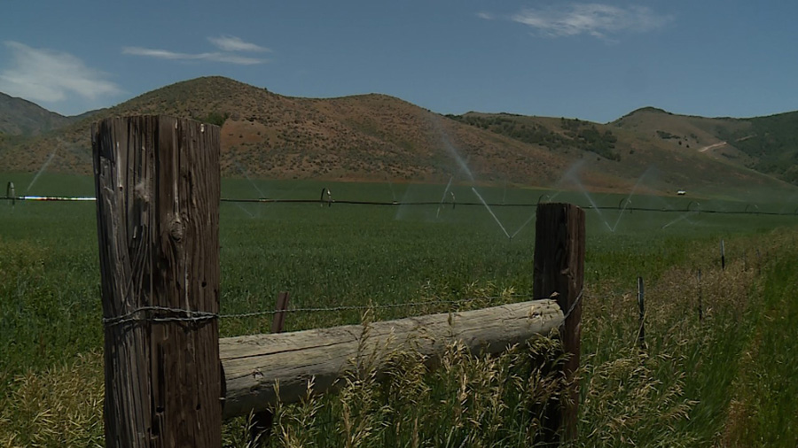 Sprinklers water a Utah farmer's field. (KSL TV)...