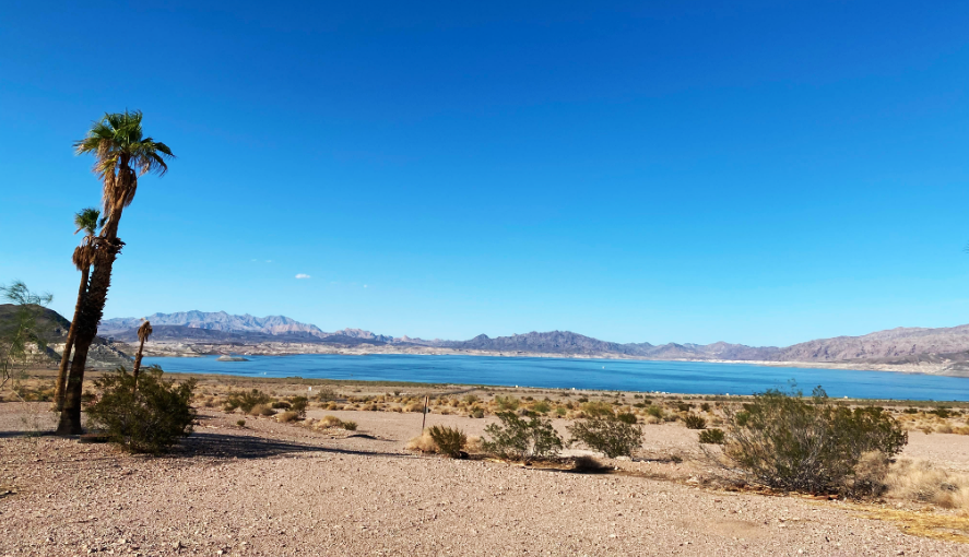 Service rangers were called with a report of human skeletal remains at Swim Beach at Lake Mead on S...