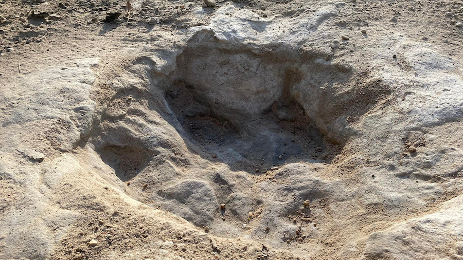 Dinosaur tracks dating from around 113 million years ago were revealed at Dinosaur Valley State Par...
