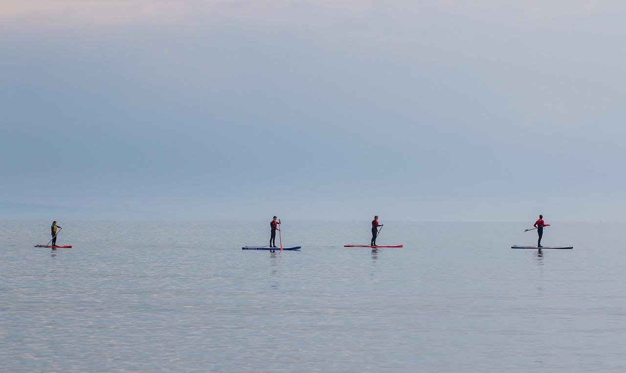 FILE: paddleboarders...