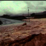 Dutchman’s Market was one of the first places hit after the dam burst. (KSL TV)